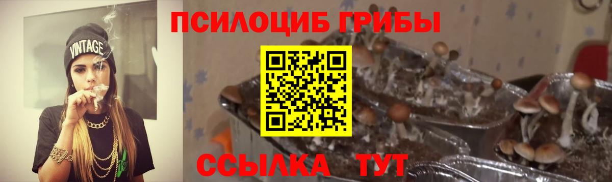 Галлюциногенные грибы Cubensis Воронеж